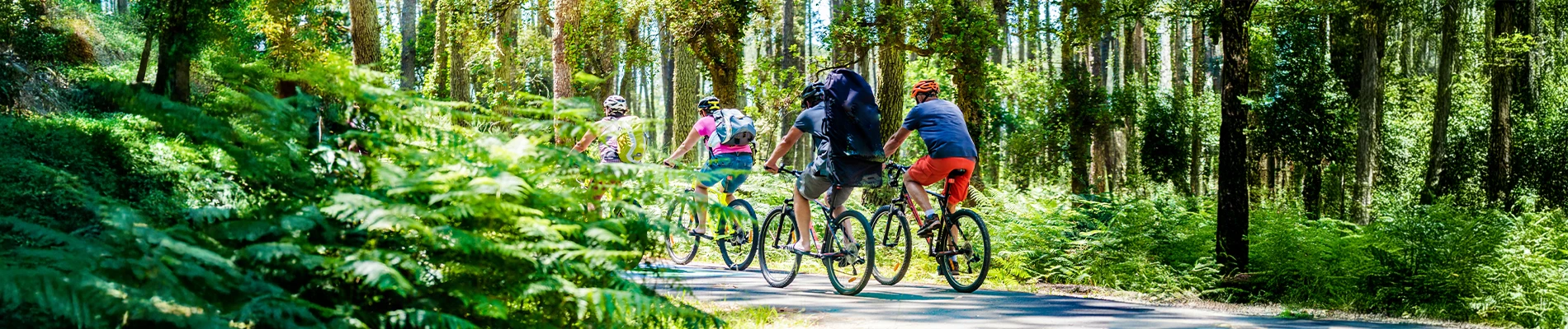 Thyrus Bike Rent